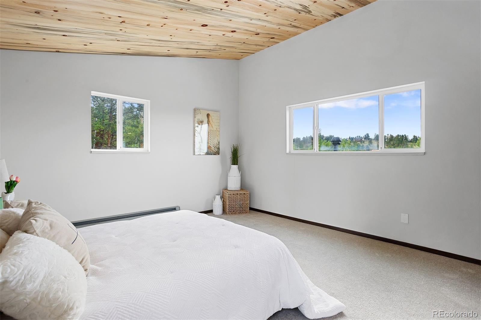 MLS Image #25 for 616 s pine drive,bailey, Colorado