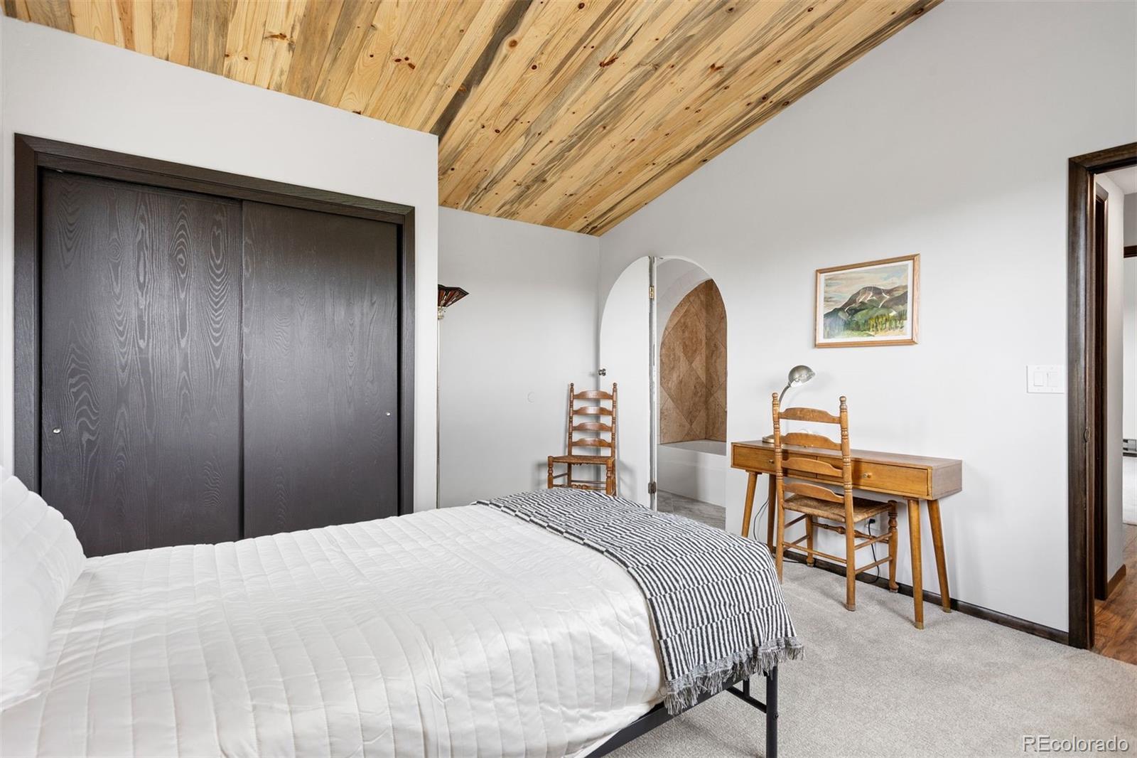 MLS Image #27 for 616 s pine drive,bailey, Colorado