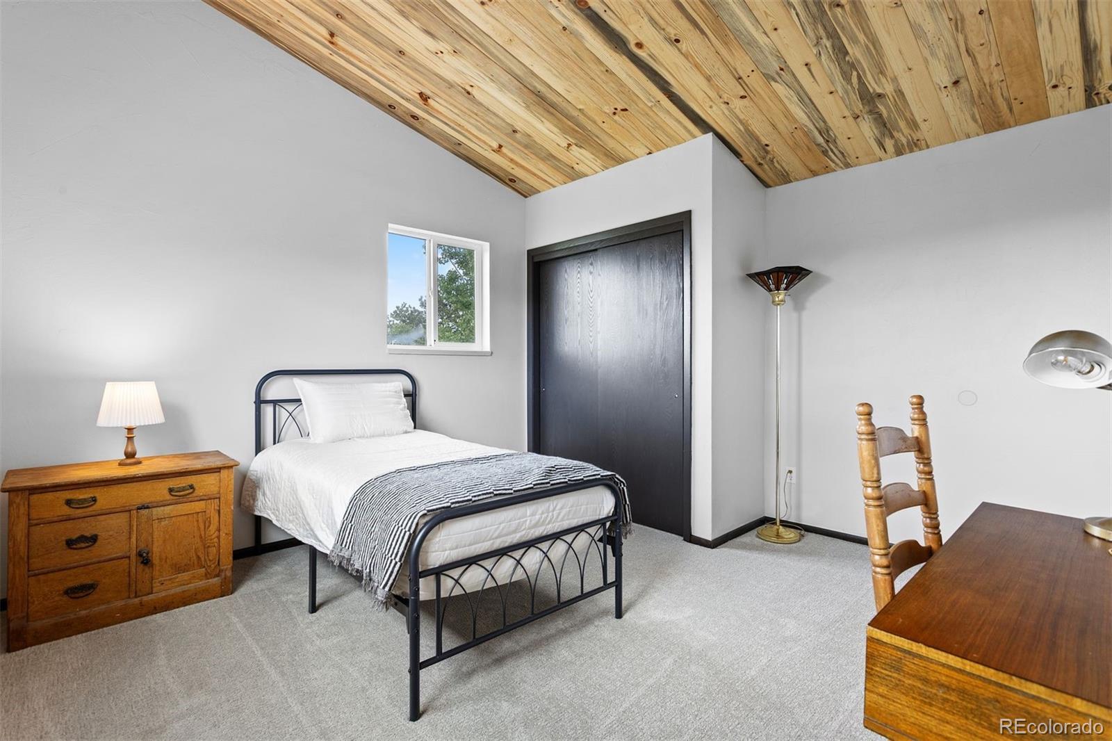 MLS Image #28 for 616 s pine drive,bailey, Colorado