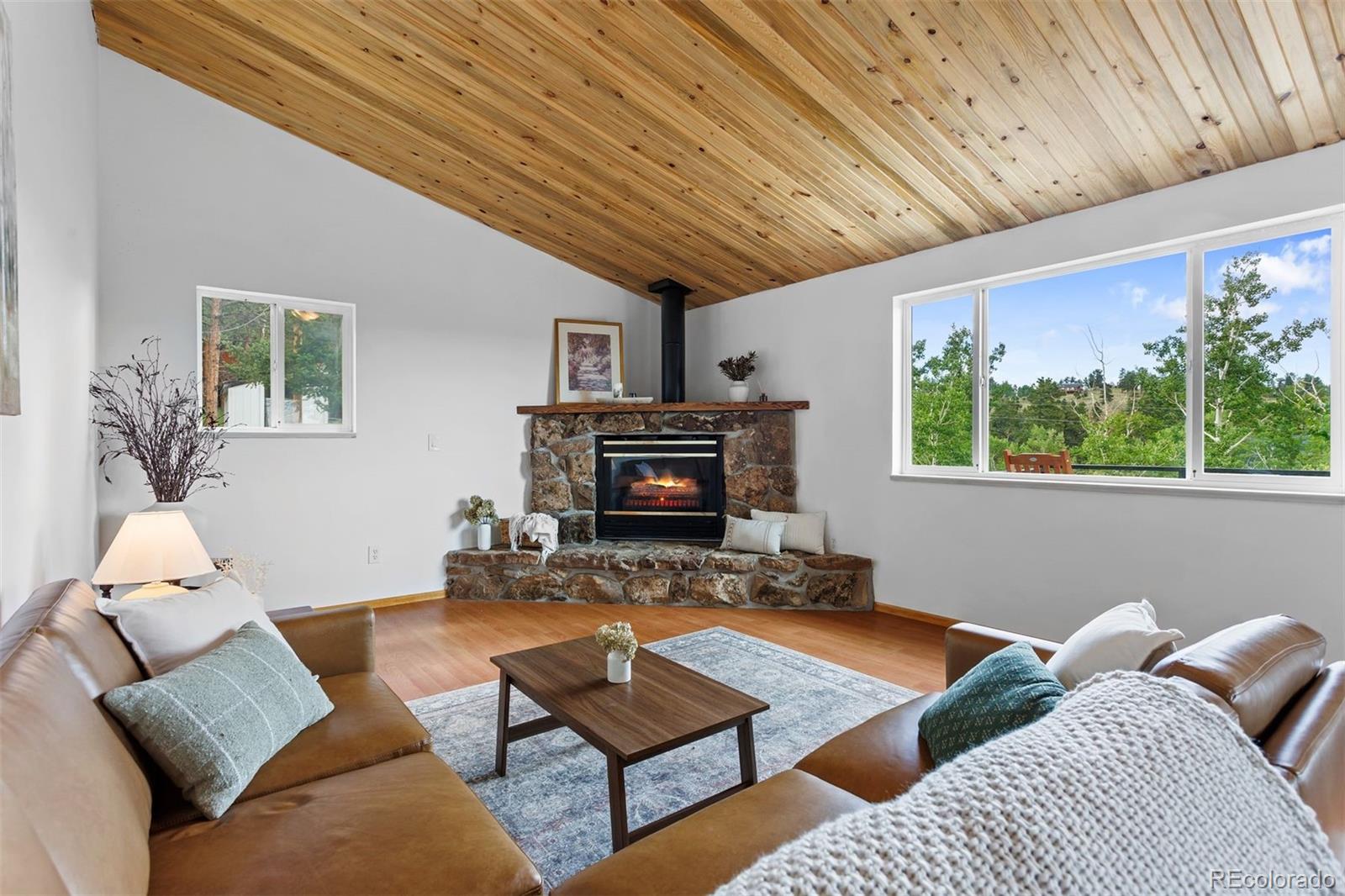 MLS Image #3 for 616 s pine drive,bailey, Colorado