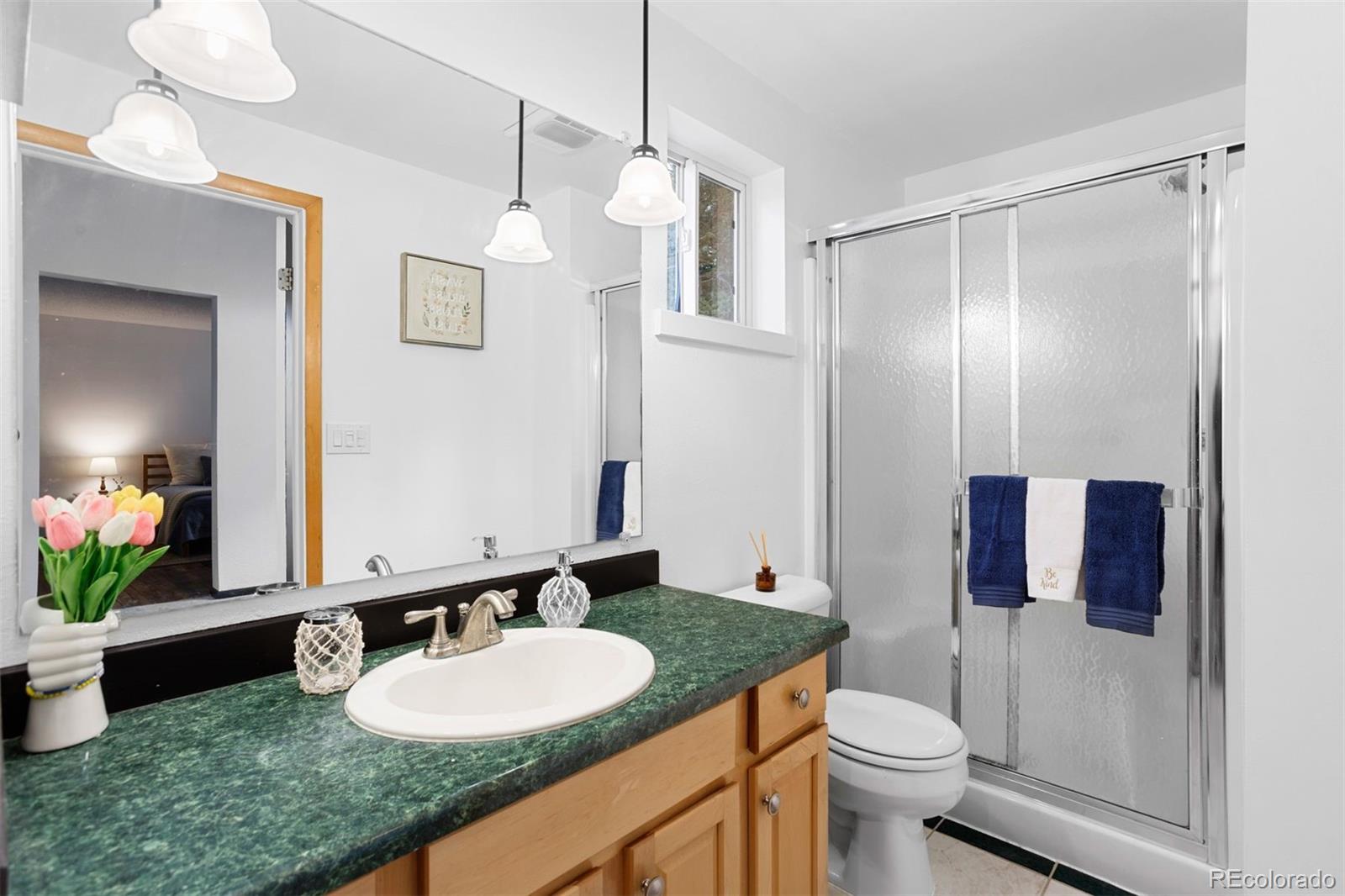 MLS Image #33 for 616 s pine drive,bailey, Colorado