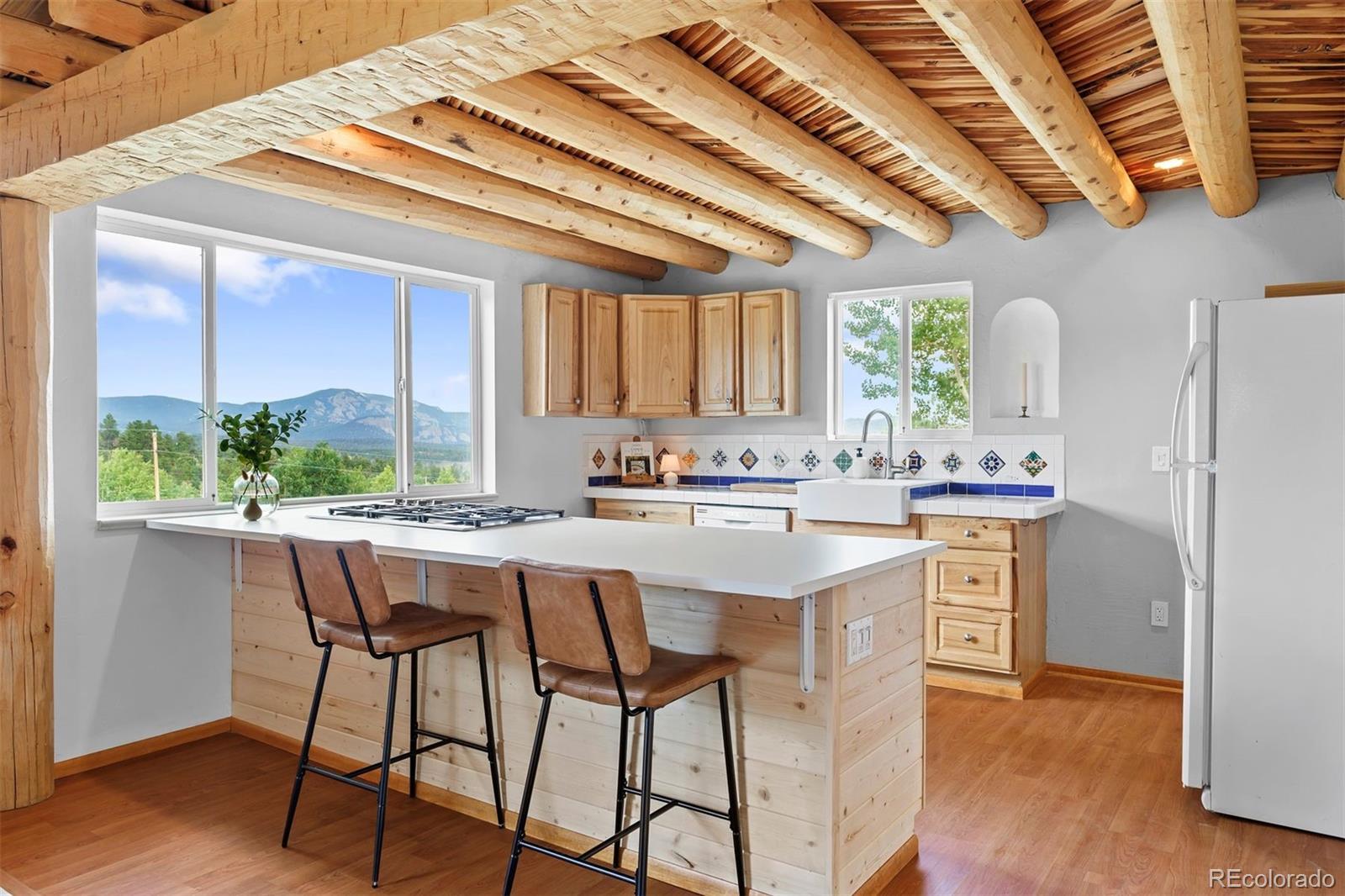 MLS Image #4 for 616 s pine drive,bailey, Colorado