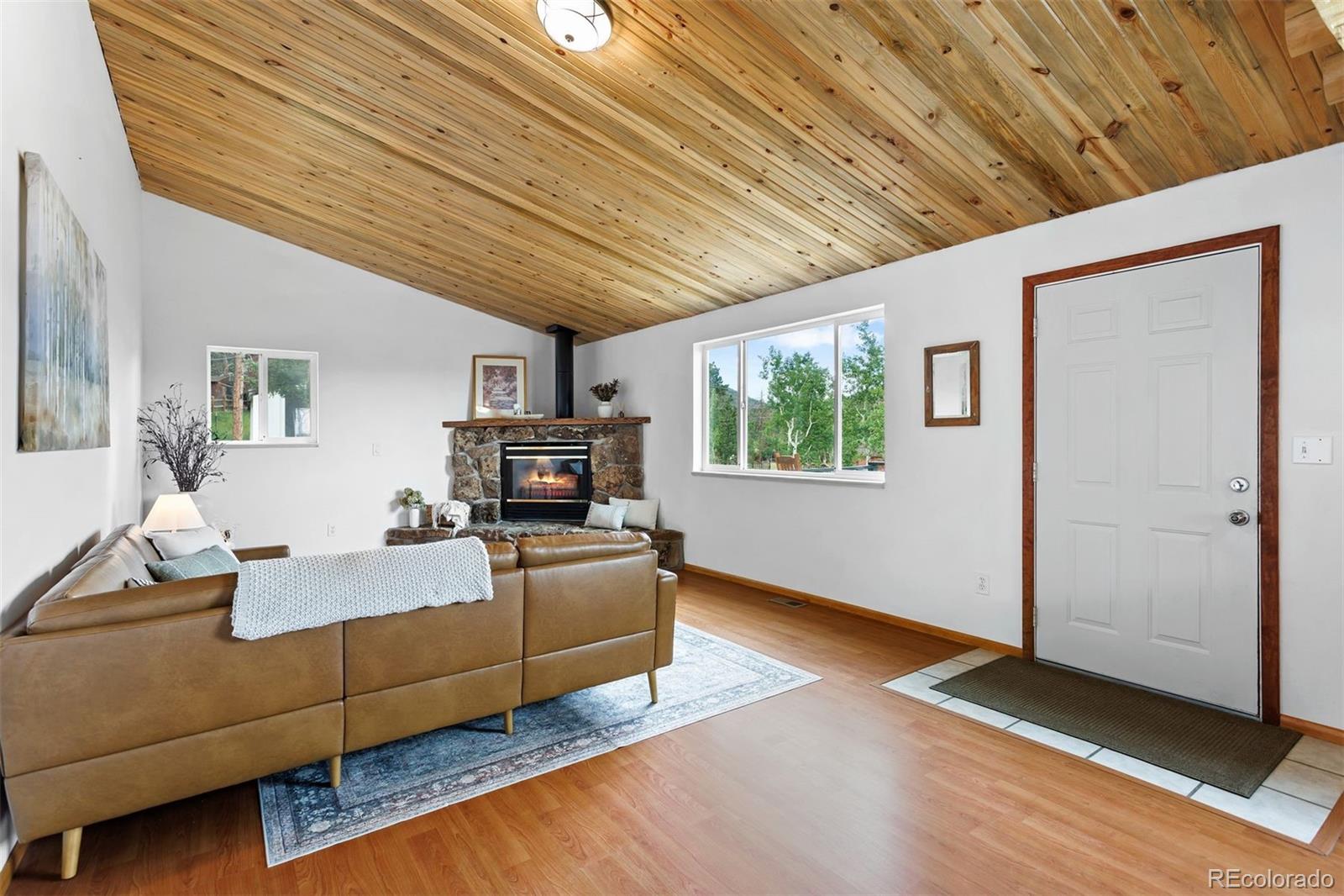 MLS Image #6 for 616 s pine drive,bailey, Colorado