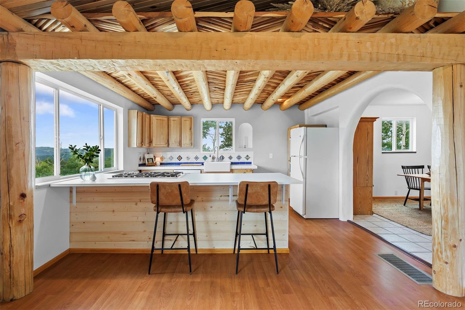 MLS Image #7 for 616 s pine drive,bailey, Colorado