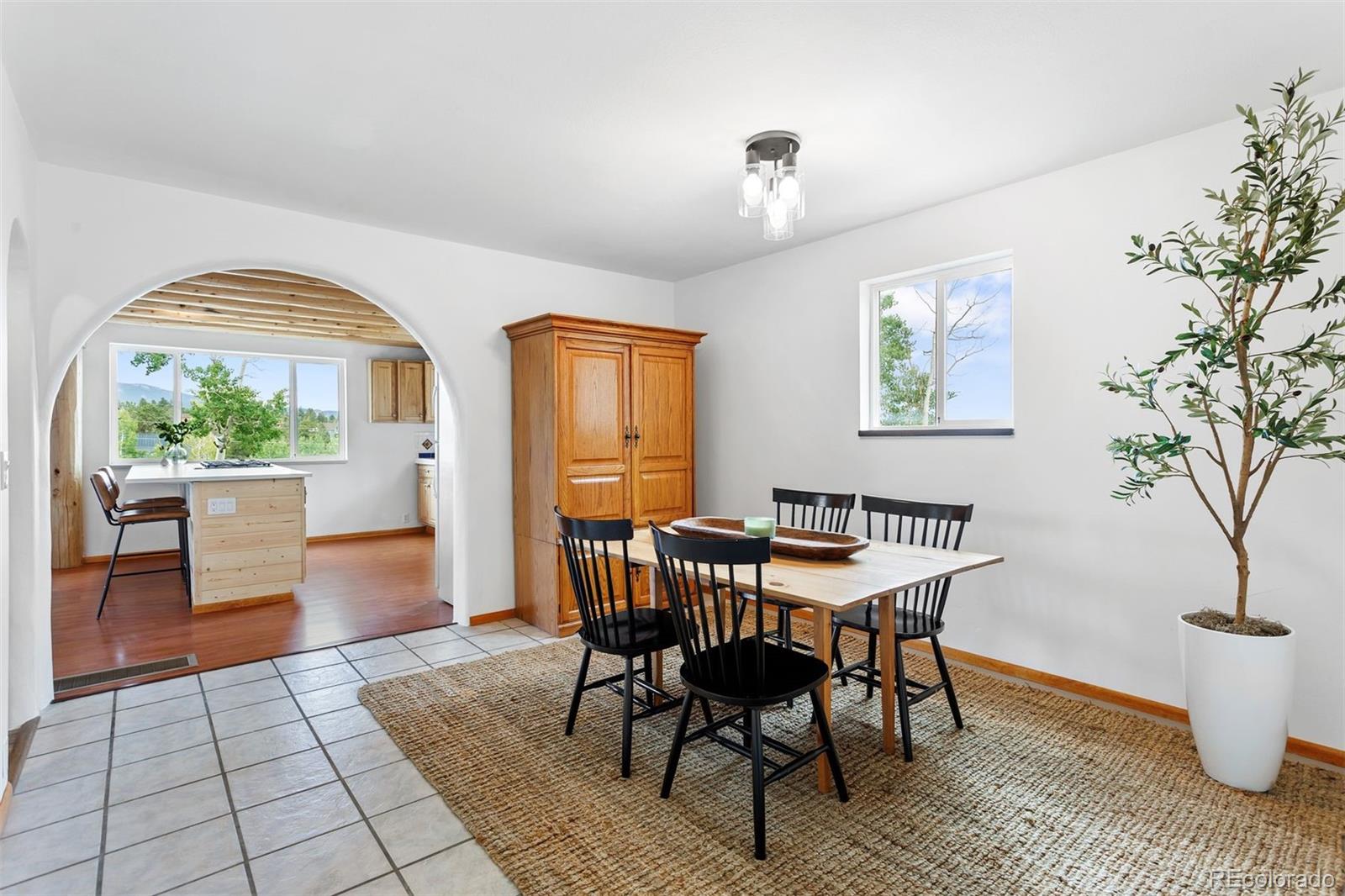 MLS Image #8 for 616 s pine drive,bailey, Colorado