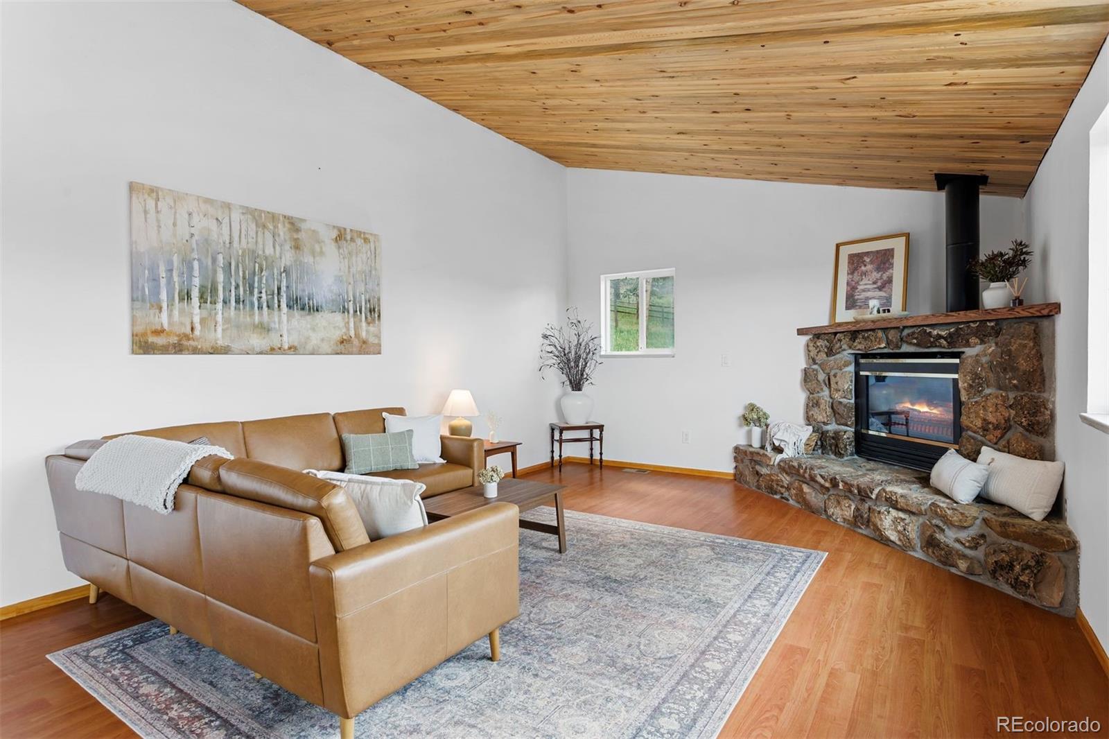 MLS Image #9 for 616 s pine drive,bailey, Colorado