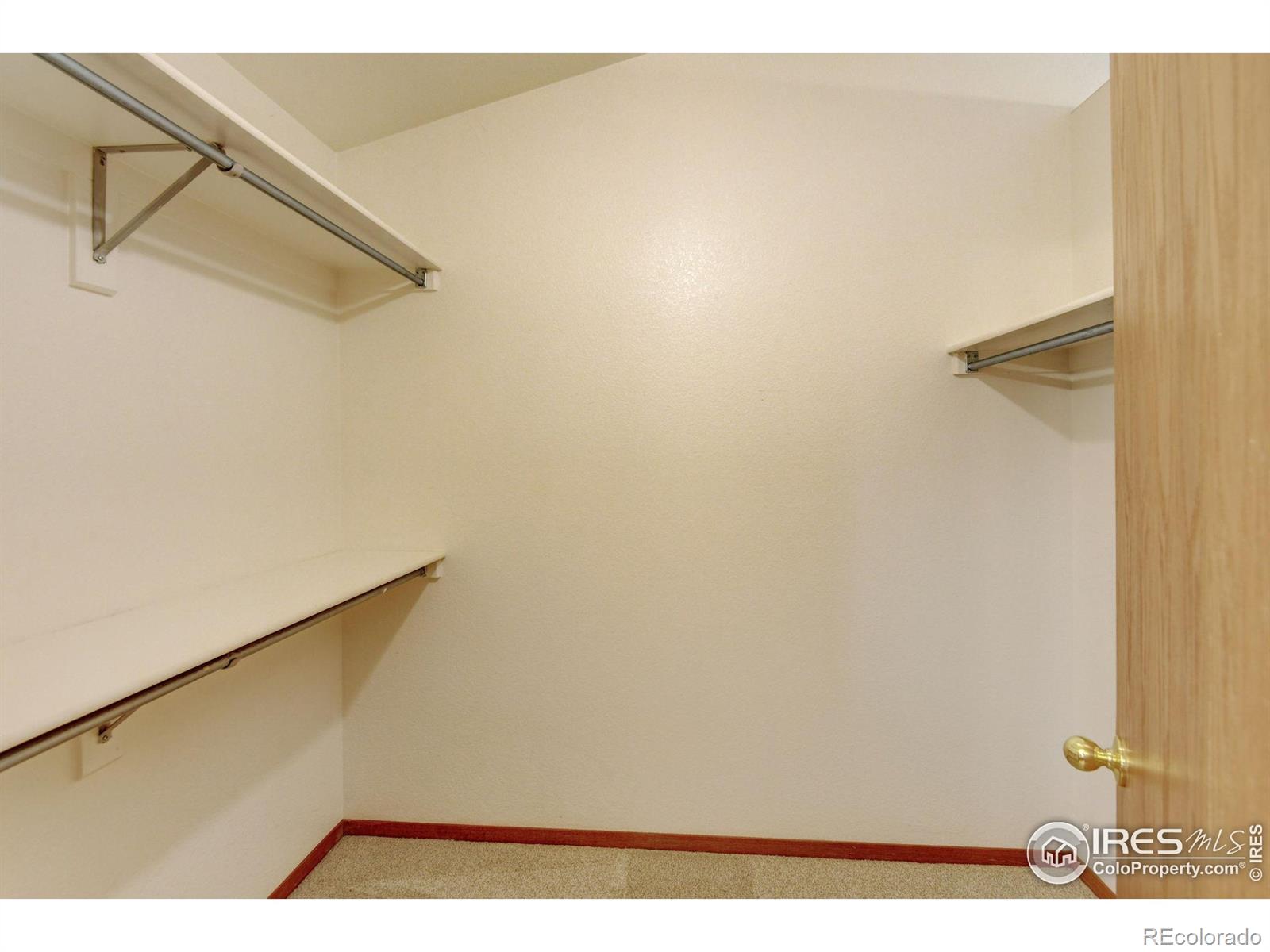 MLS Image #28 for 1545  corydalis court,fort collins, Colorado