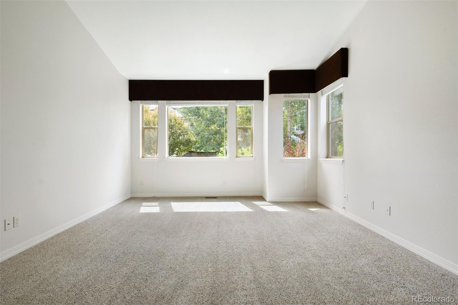 MLS Image #29 for 13435  cedarville way,colorado springs, Colorado