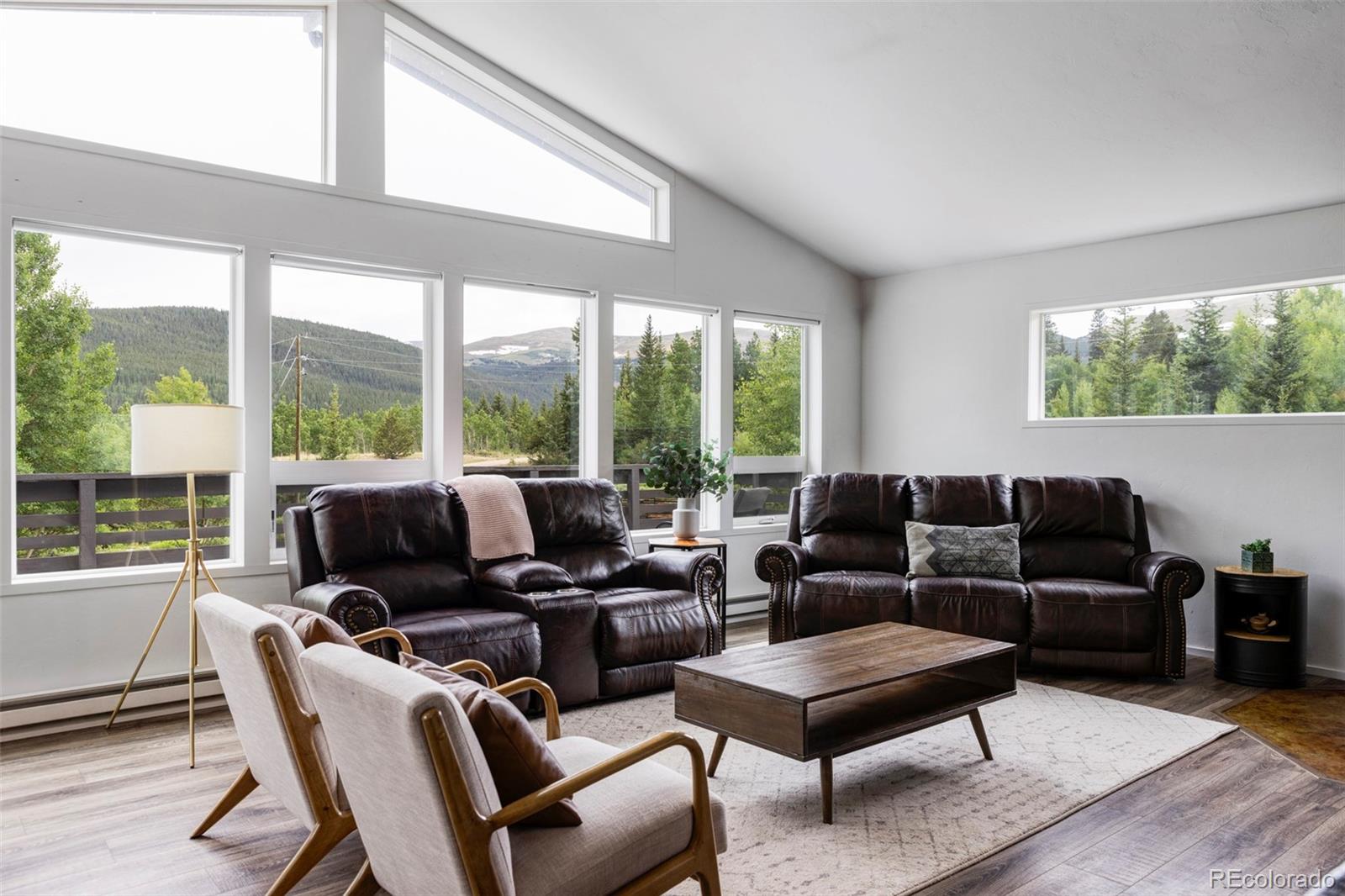 MLS Image #10 for 133  gold run road,alma, Colorado