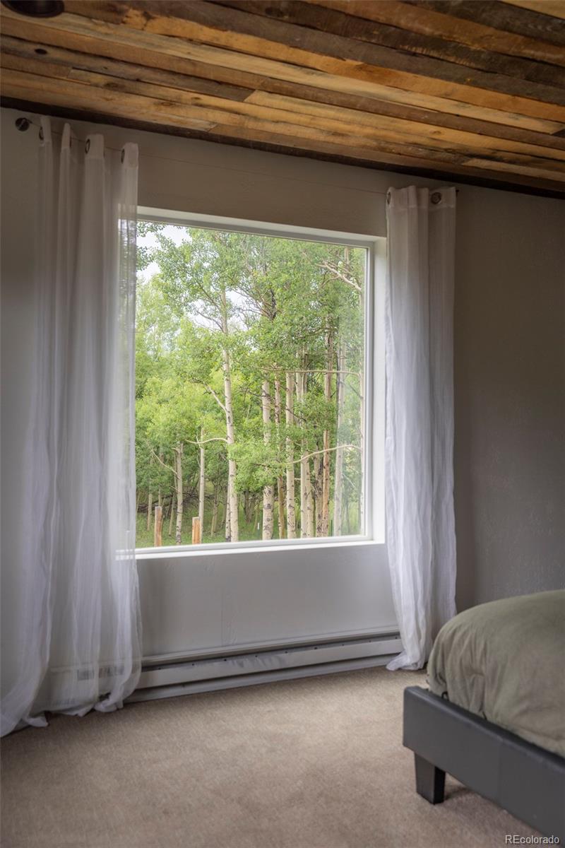 MLS Image #13 for 133  gold run road,alma, Colorado