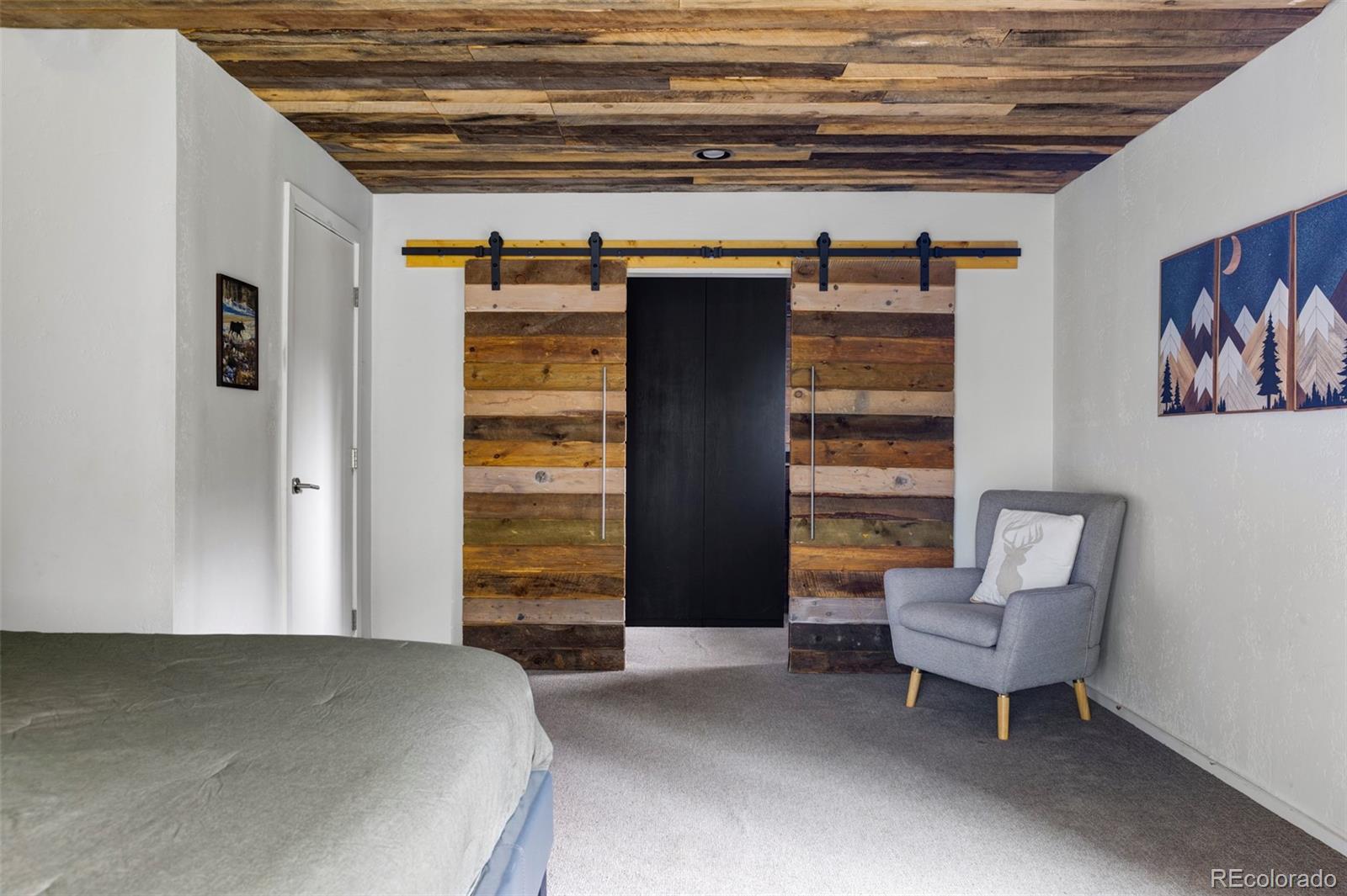 MLS Image #15 for 133  gold run road,alma, Colorado