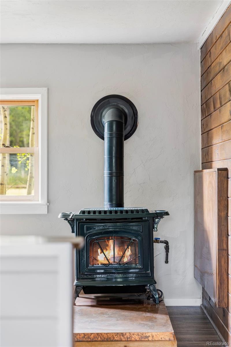 MLS Image #19 for 133  gold run road,alma, Colorado