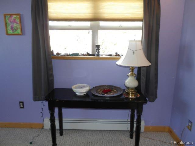 MLS Image #24 for 2720 n carefree way,crestone, Colorado