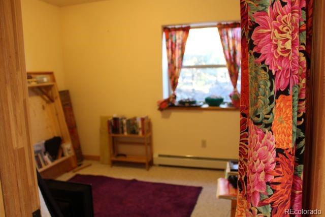 MLS Image #35 for 2720 n carefree way,crestone, Colorado