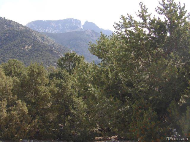 MLS Image #4 for 2720 n carefree way,crestone, Colorado