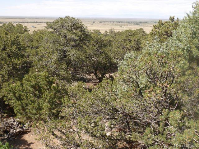 MLS Image #6 for 2720 n carefree way,crestone, Colorado