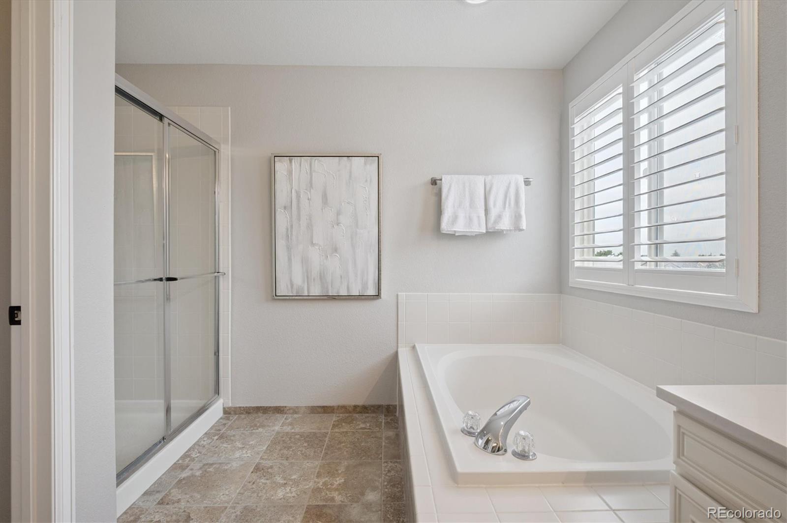 MLS Image #18 for 3909  wynwood circle,highlands ranch, Colorado