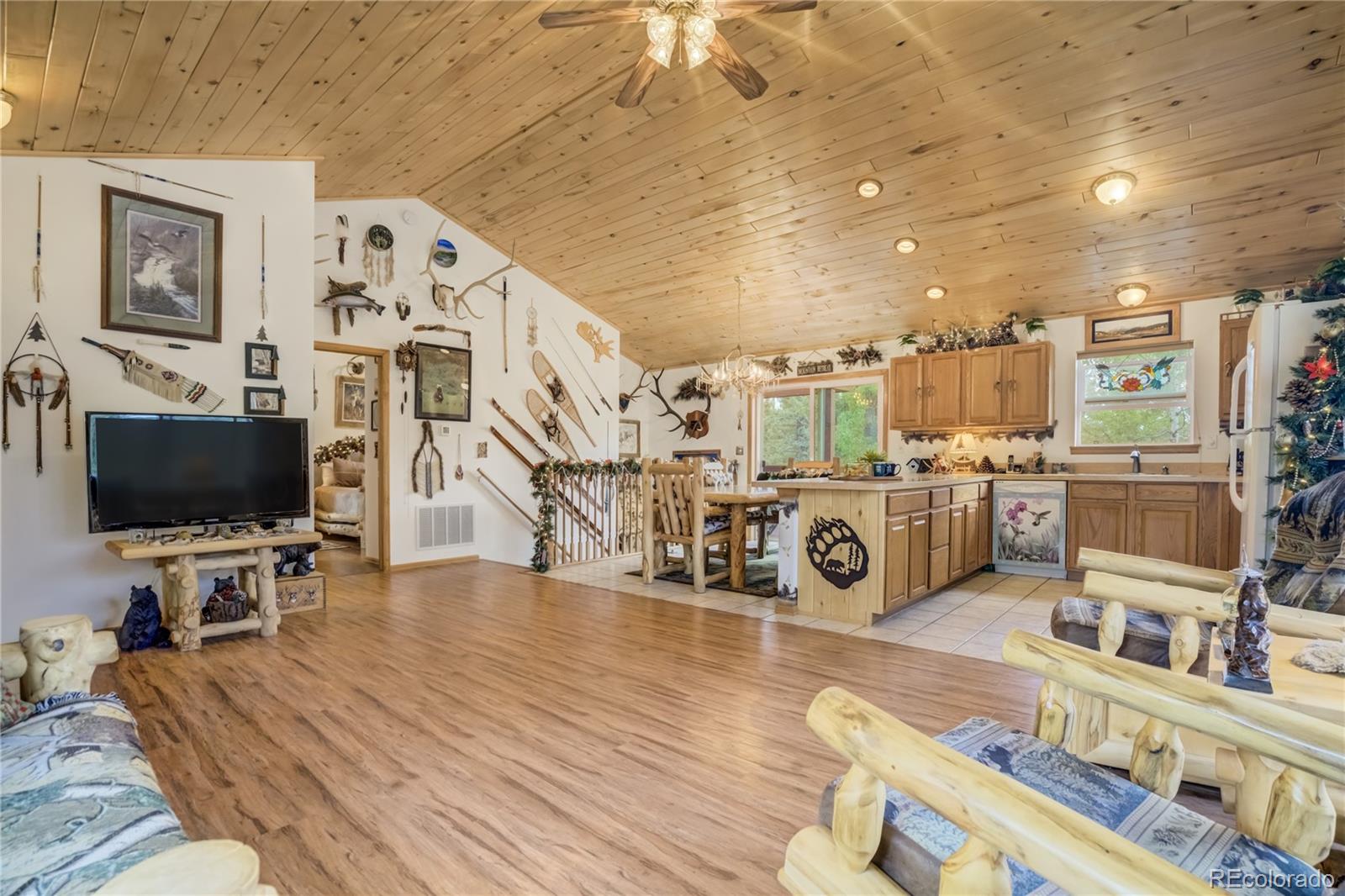 MLS Image #14 for 4069  omer lane,divide, Colorado