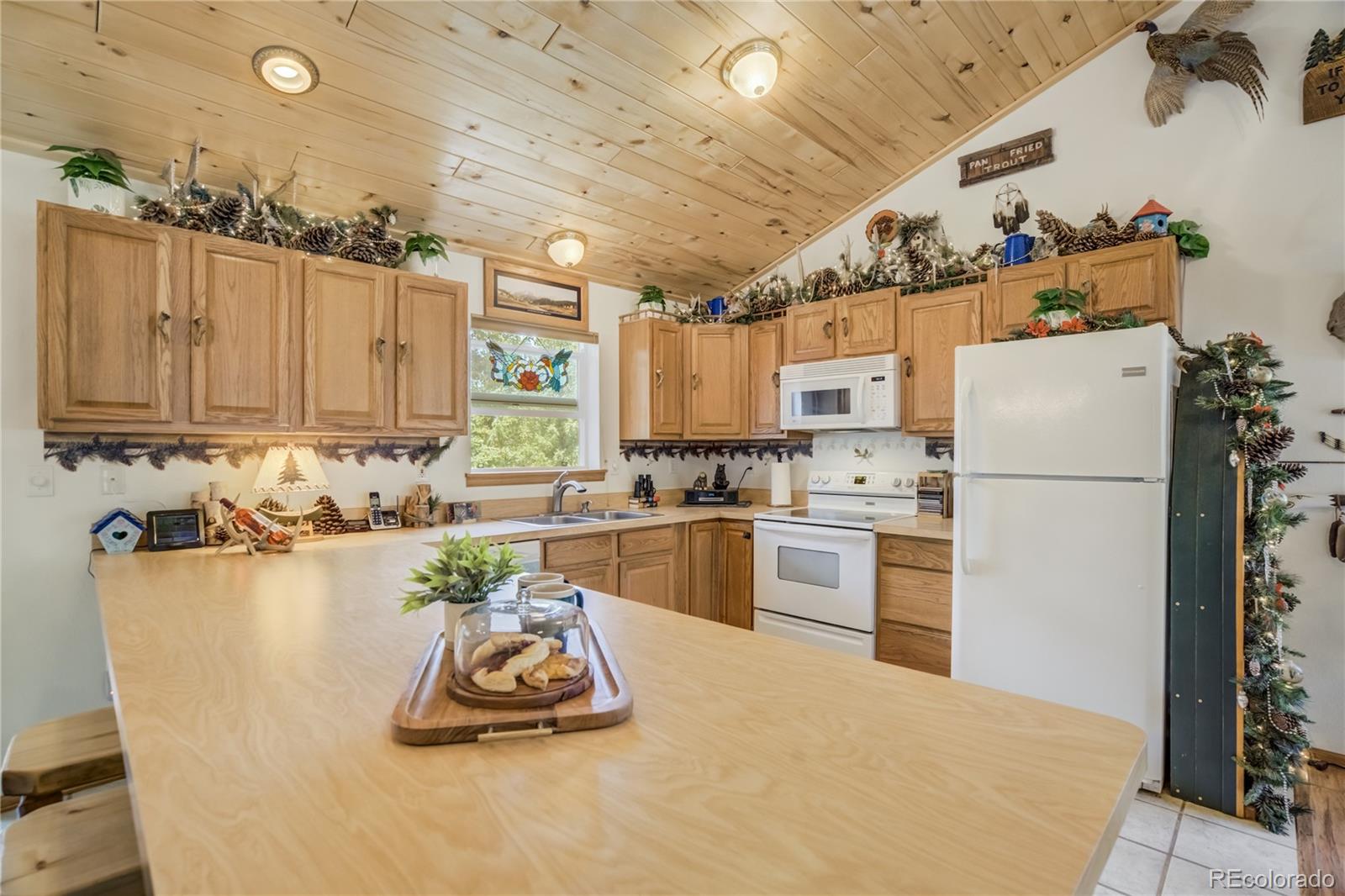 MLS Image #16 for 4069  omer lane,divide, Colorado
