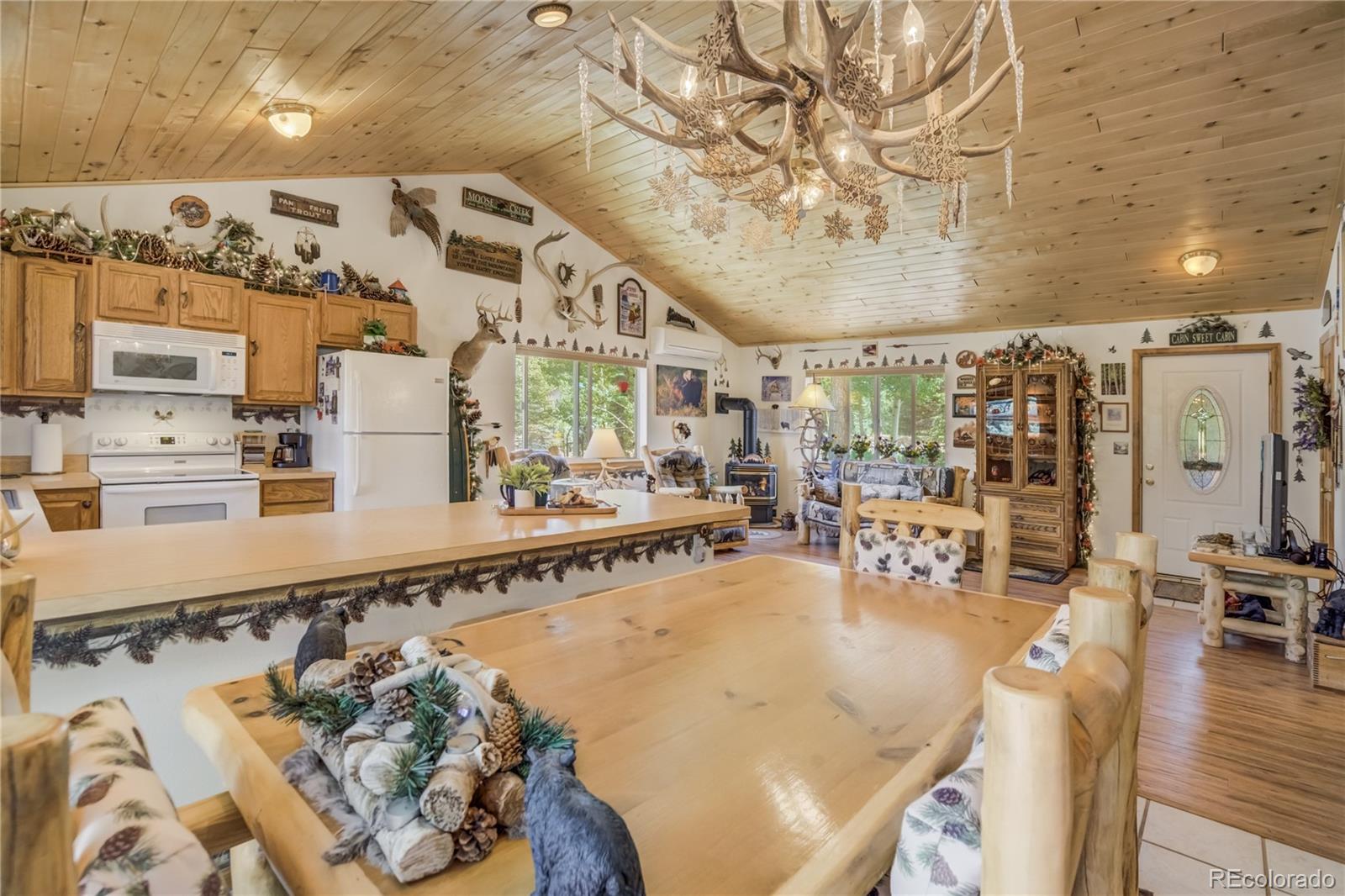 MLS Image #18 for 4069  omer lane,divide, Colorado