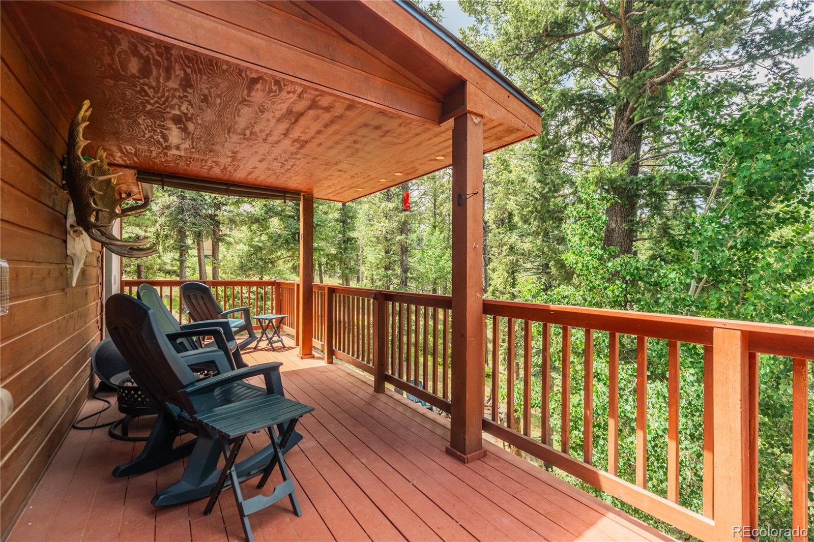 MLS Image #19 for 4069  omer lane,divide, Colorado