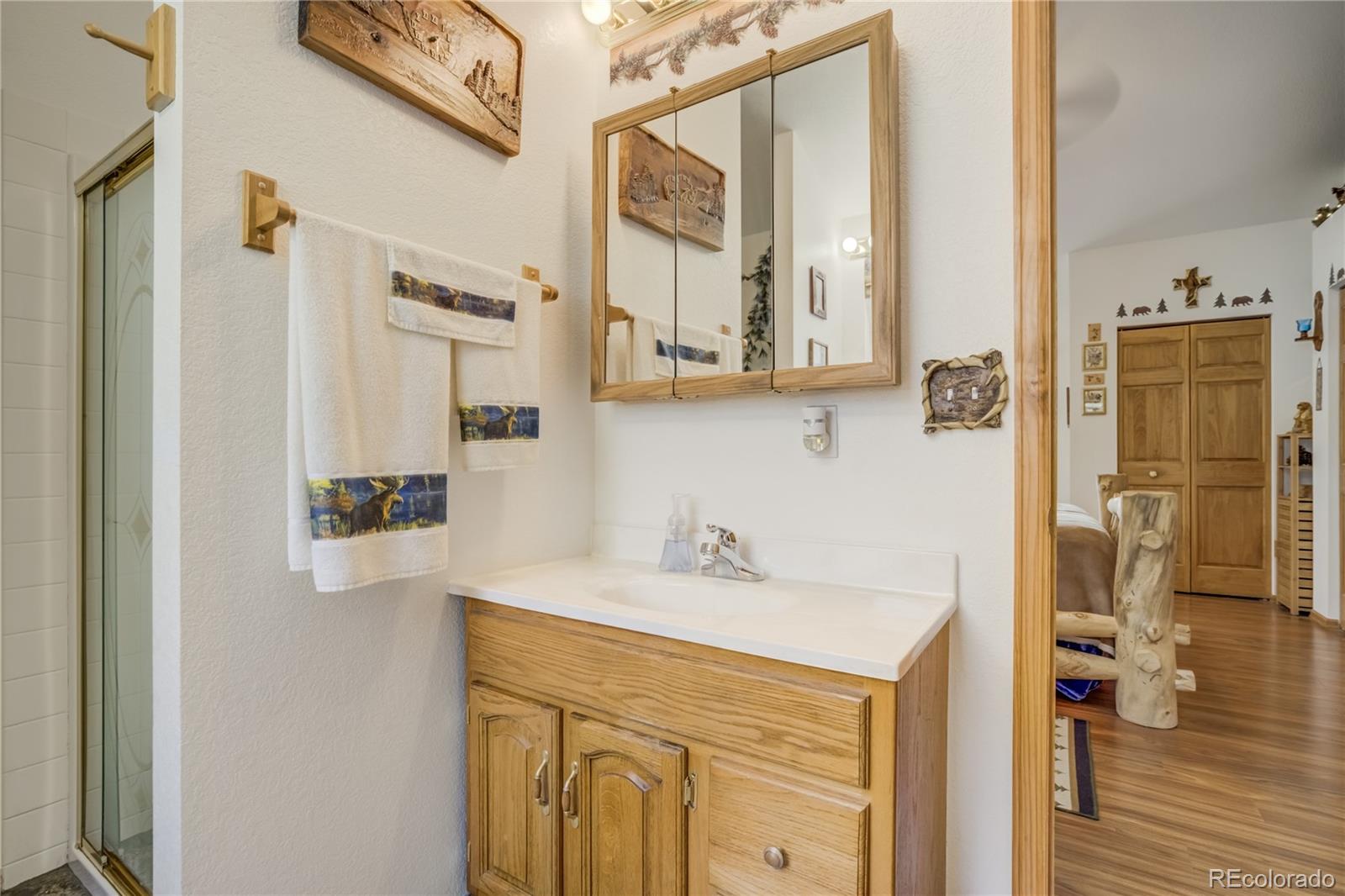 MLS Image #25 for 4069  omer lane,divide, Colorado