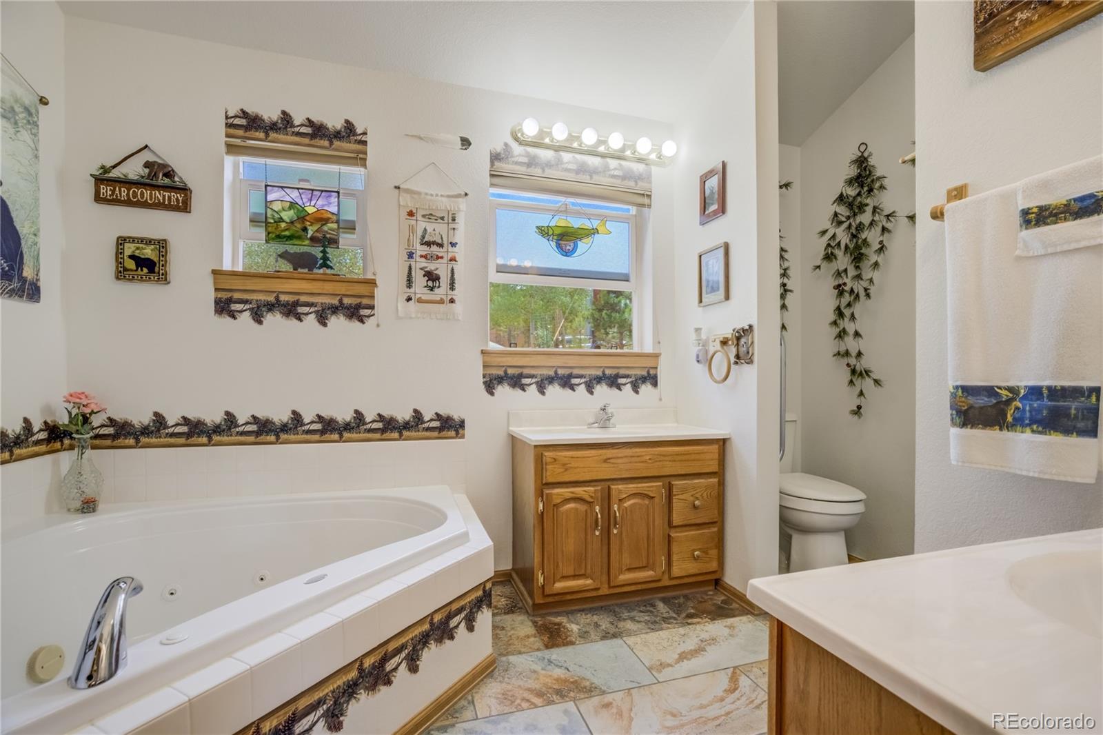 MLS Image #26 for 4069  omer lane,divide, Colorado