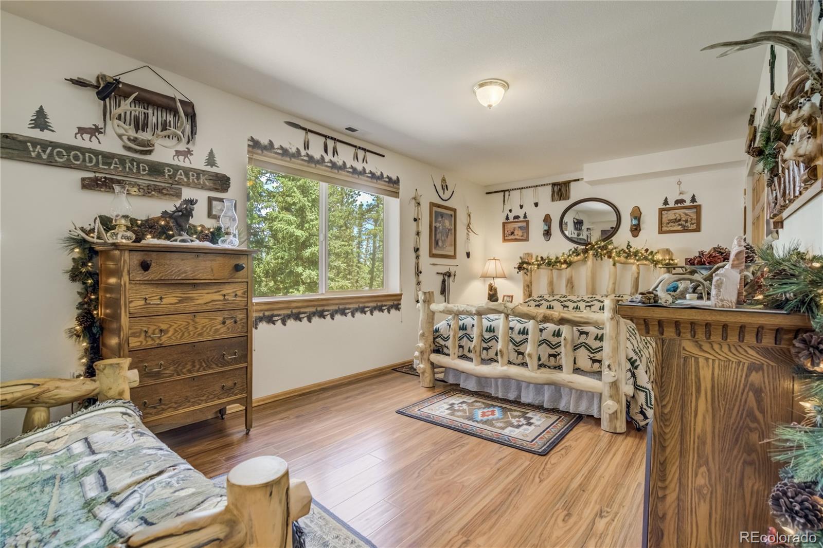 MLS Image #36 for 4069  omer lane,divide, Colorado