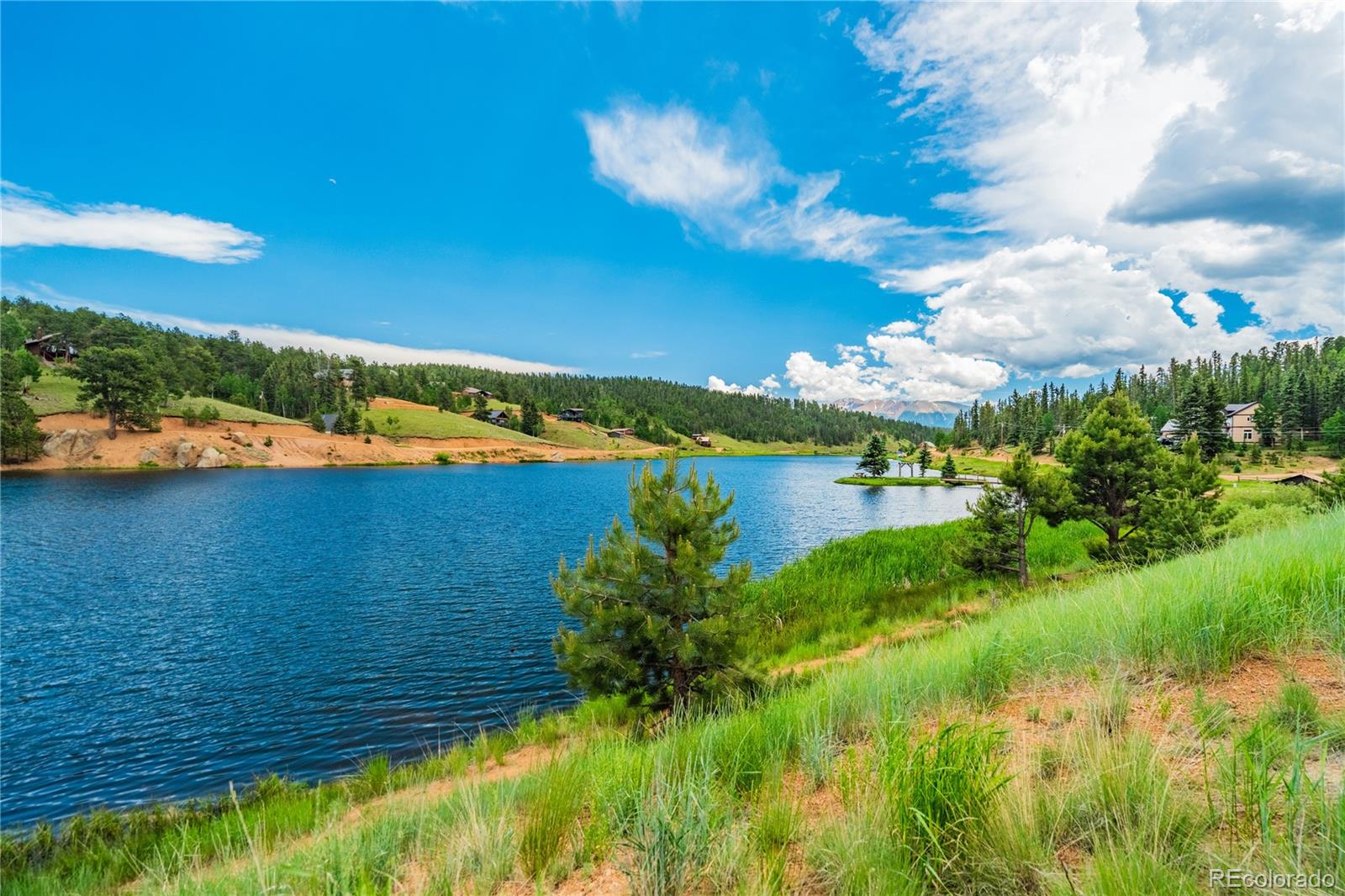MLS Image #46 for 4069  omer lane,divide, Colorado