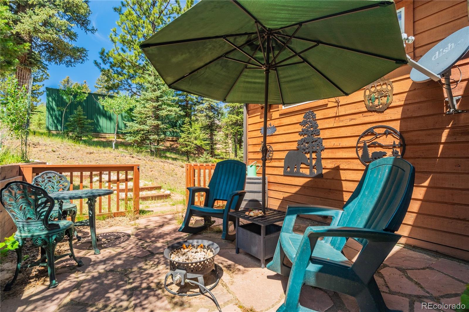 MLS Image #7 for 4069  omer lane,divide, Colorado