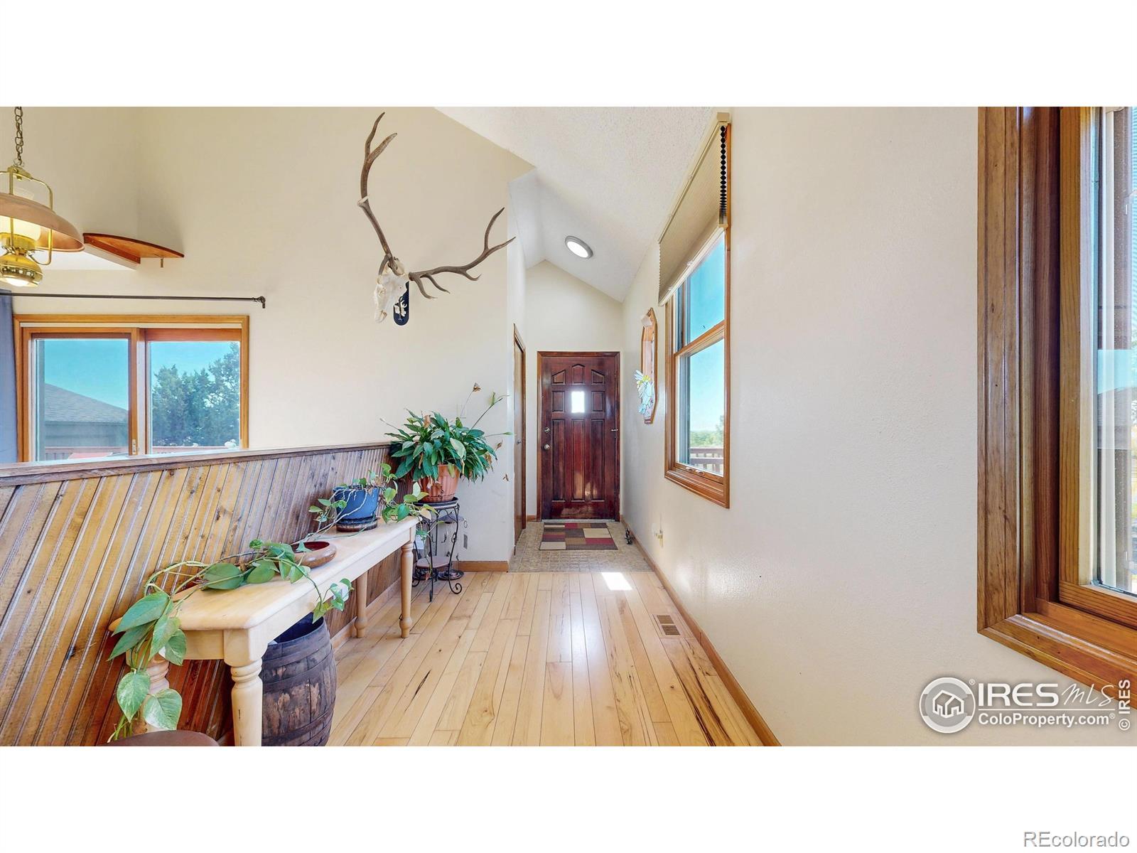 MLS Image #1 for 712  colt drive,loveland, Colorado