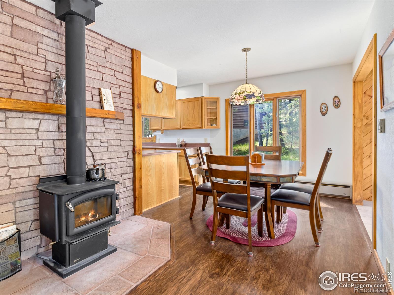 MLS Image #10 for 255  apache ,lyons, Colorado