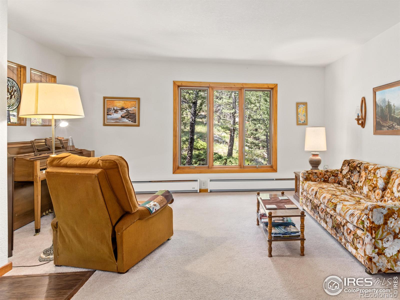 MLS Image #12 for 255  apache ,lyons, Colorado