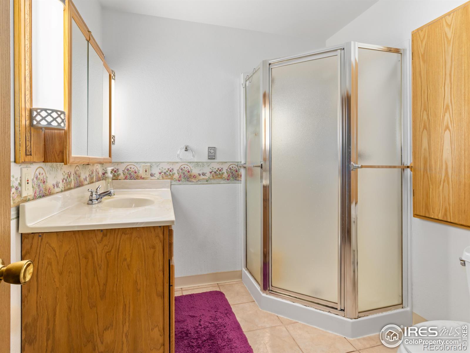 MLS Image #14 for 255  apache ,lyons, Colorado