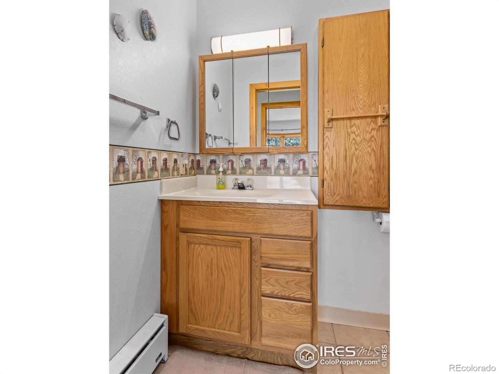 MLS Image #17 for 255  apache ,lyons, Colorado