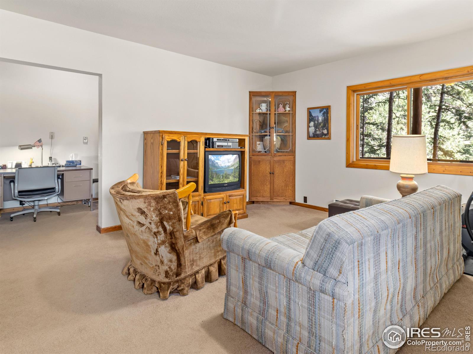 MLS Image #19 for 255  apache ,lyons, Colorado