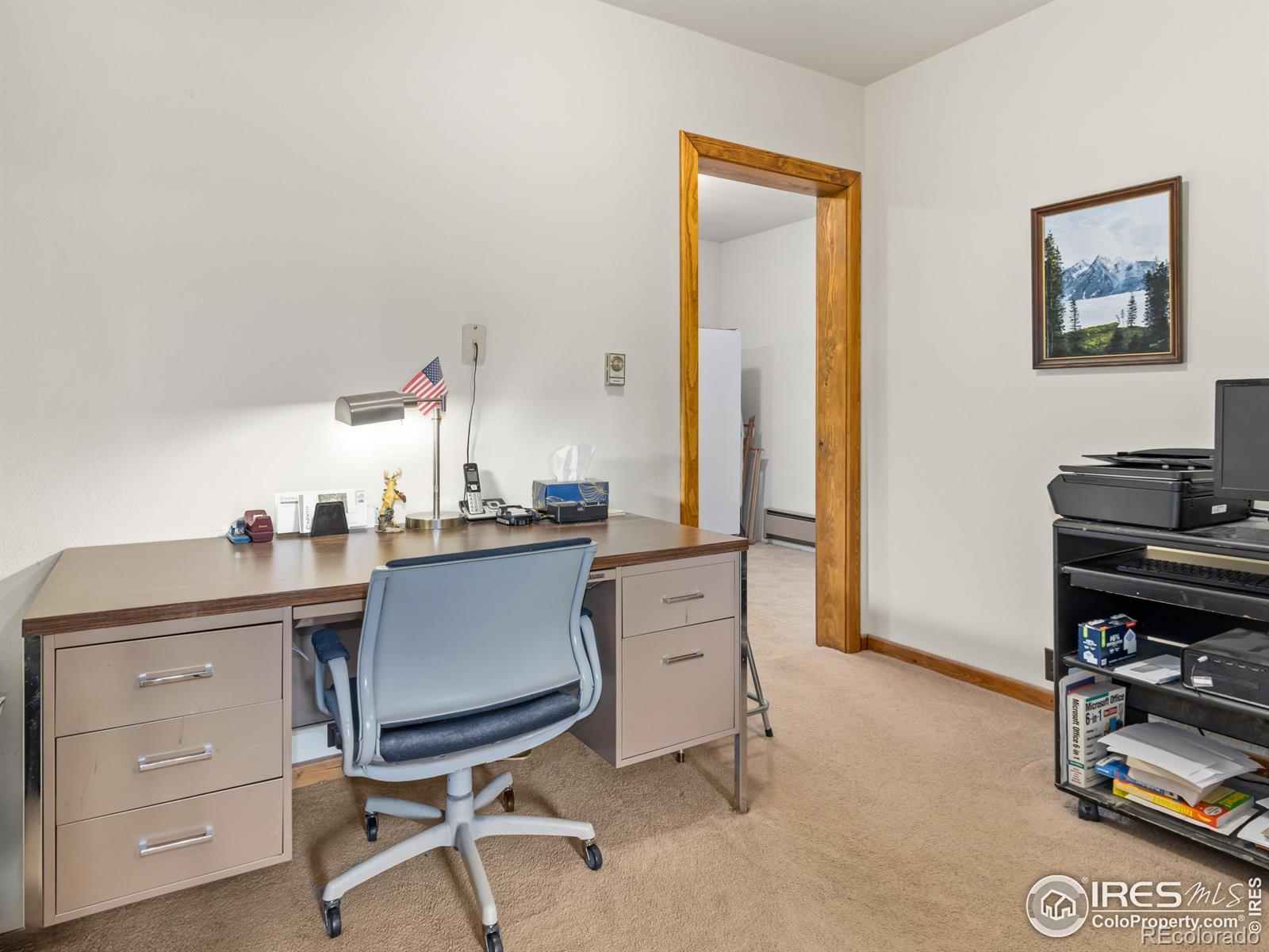 MLS Image #21 for 255  apache ,lyons, Colorado