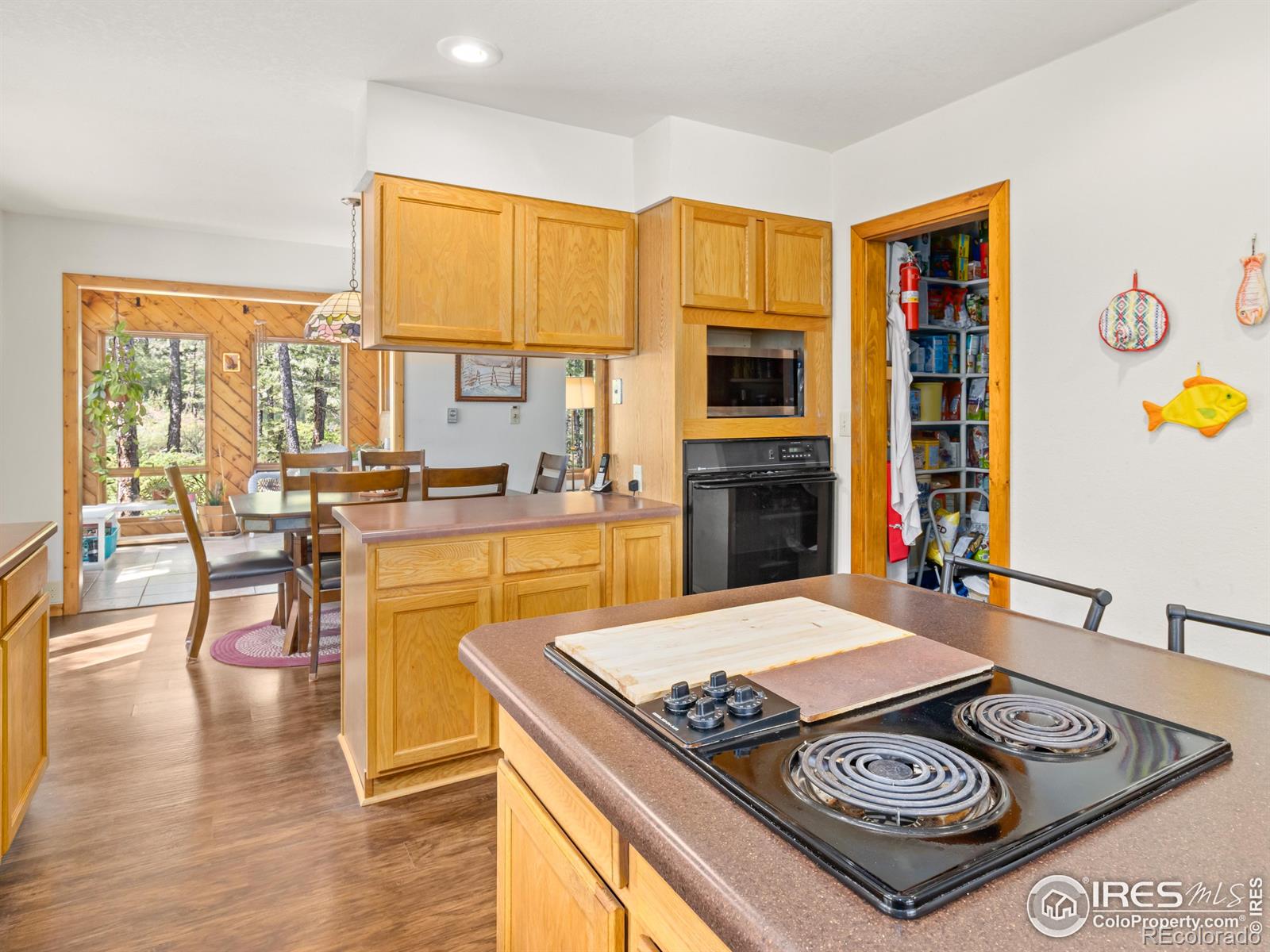 MLS Image #7 for 255  apache ,lyons, Colorado