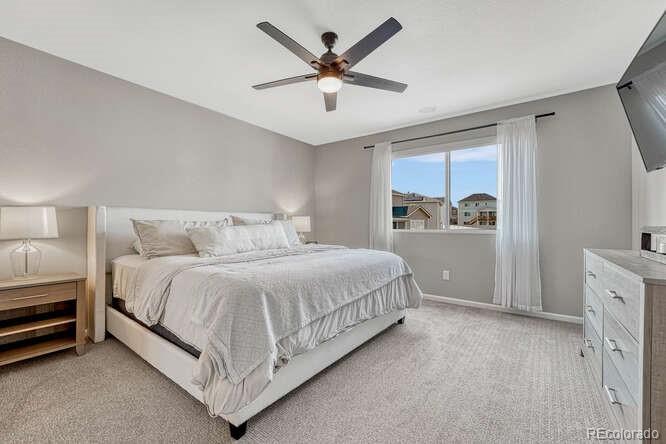 MLS Image #18 for 5430  windy pass court,colorado springs, Colorado