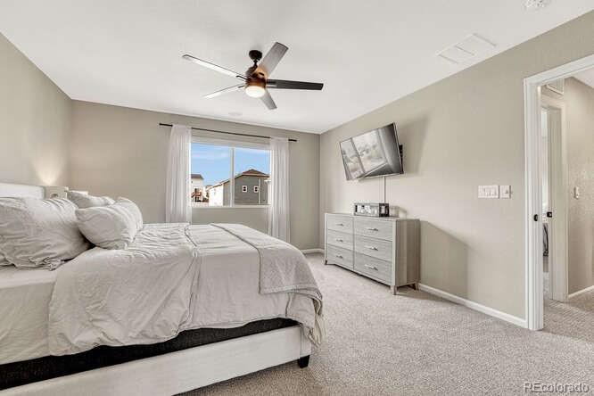 MLS Image #19 for 5430  windy pass court,colorado springs, Colorado