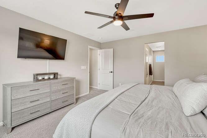 MLS Image #20 for 5430  windy pass court,colorado springs, Colorado