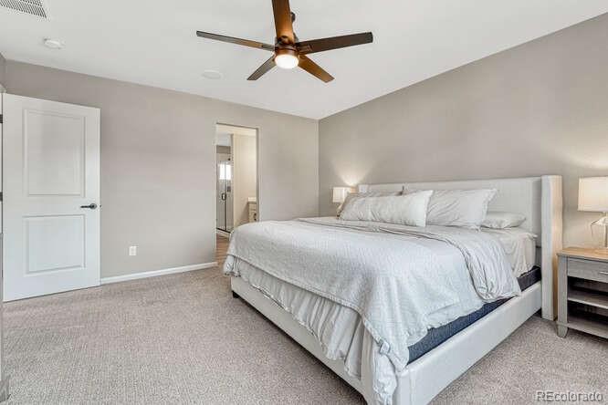 MLS Image #21 for 5430  windy pass court,colorado springs, Colorado
