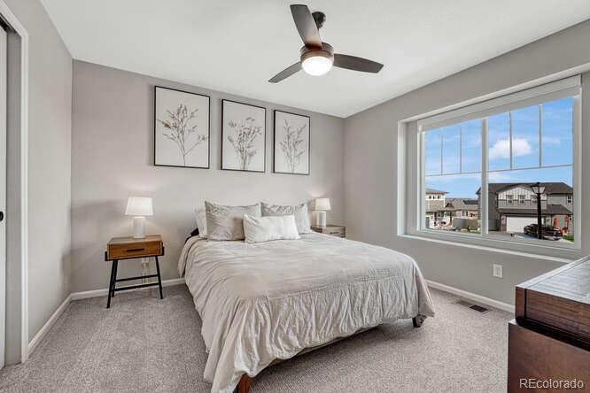 MLS Image #24 for 5430  windy pass court,colorado springs, Colorado
