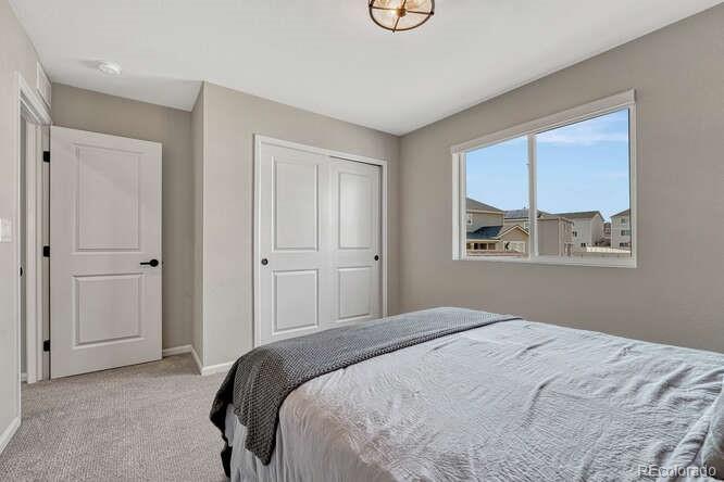 MLS Image #30 for 5430  windy pass court,colorado springs, Colorado