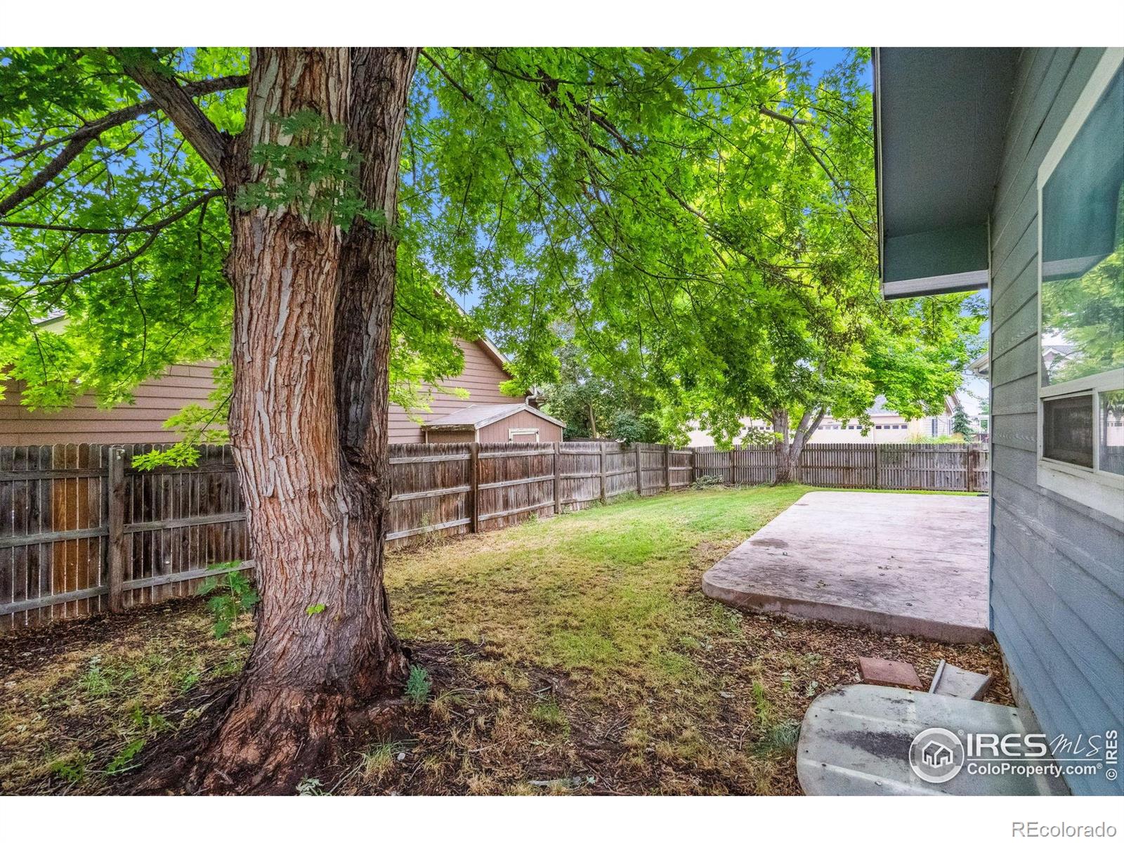MLS Image #27 for 1848  chesapeake circle,johnstown, Colorado