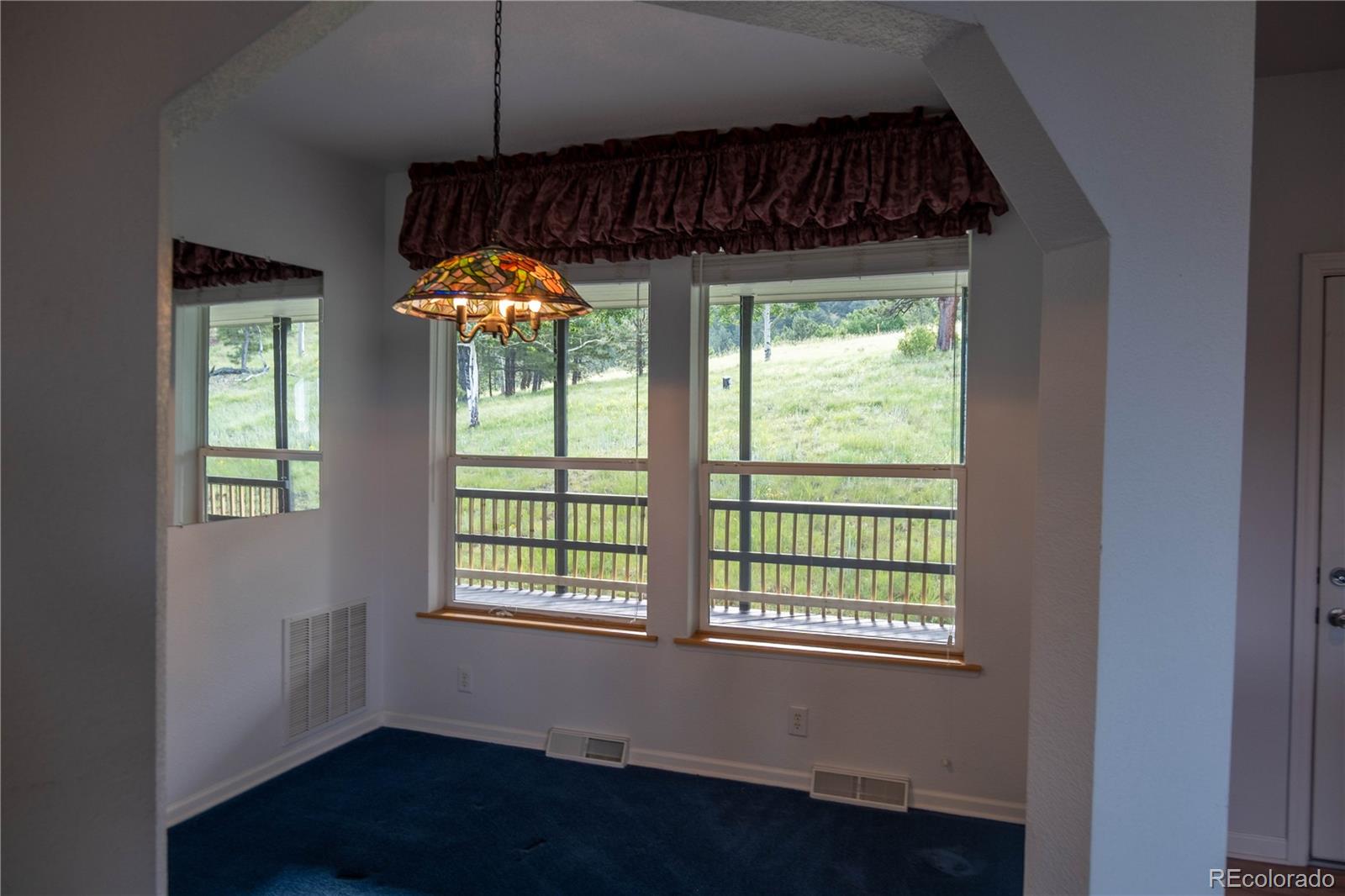 MLS Image #10 for 950  junkins loop,westcliffe, Colorado