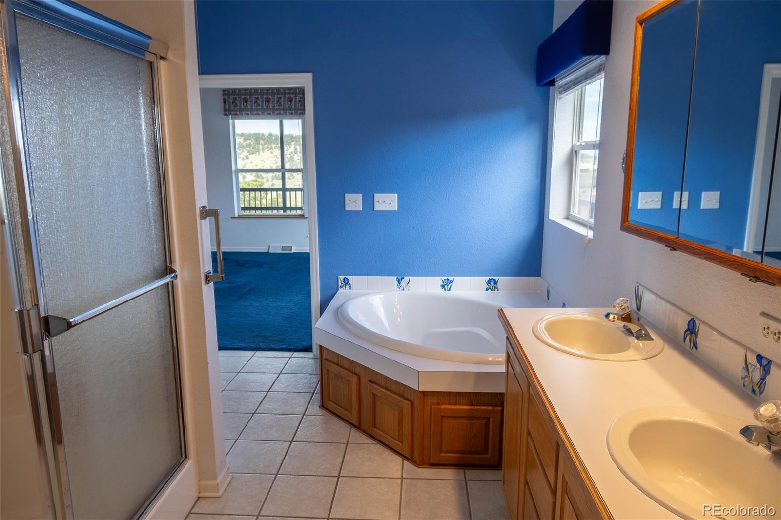 MLS Image #15 for 950  junkins loop,westcliffe, Colorado