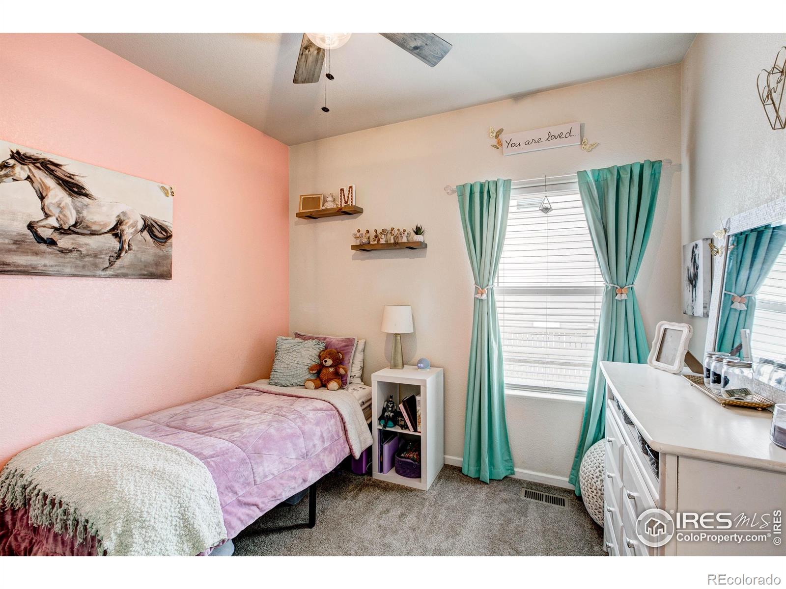 MLS Image #23 for 11209  charles street,firestone, Colorado