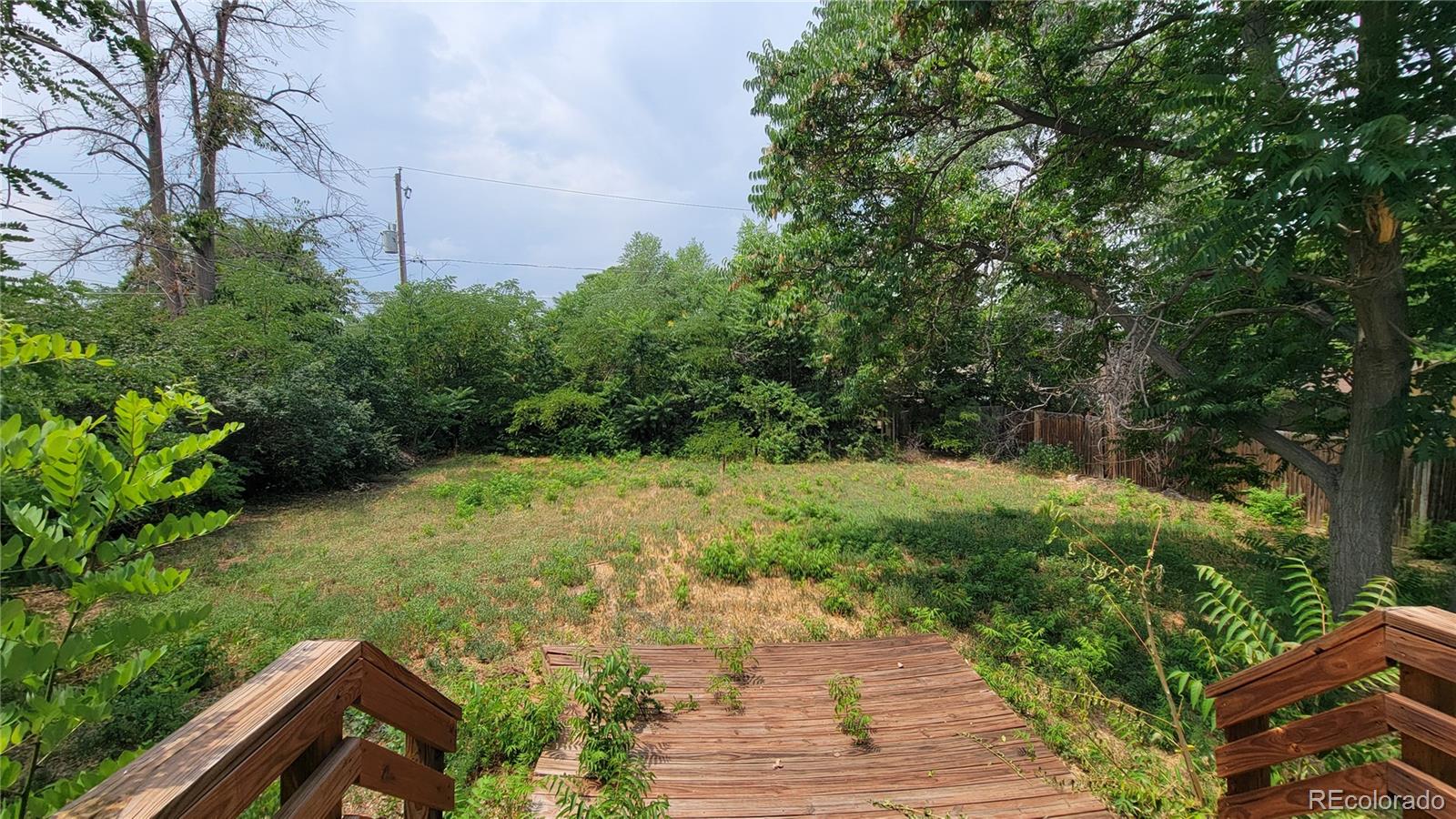 MLS Image #3 for 2919  forest street,denver, Colorado