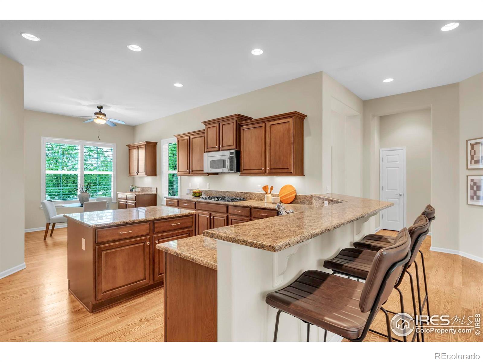 MLS Image #10 for 4518  silver mountain loop,broomfield, Colorado